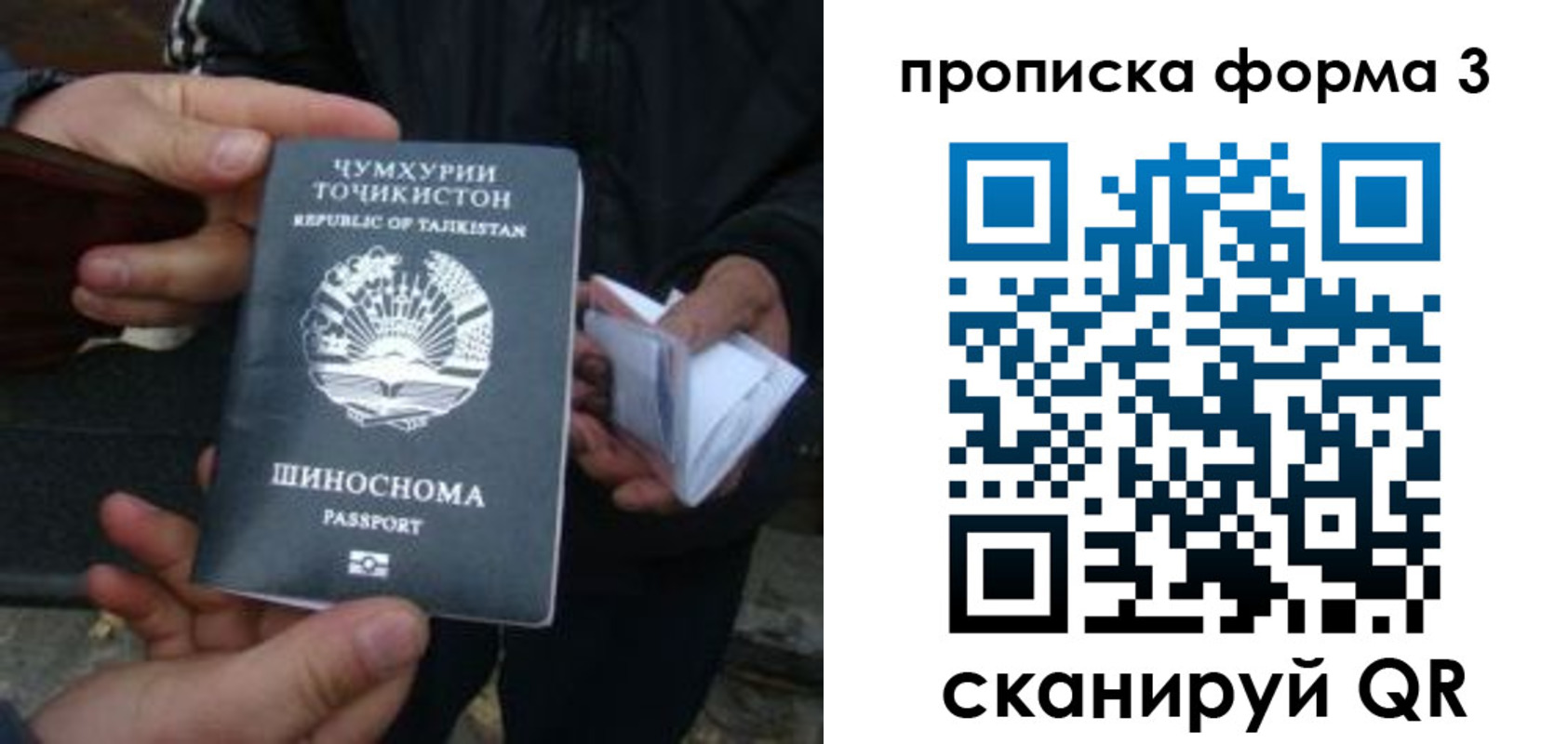 прописка 2025 в Лодейном Поле